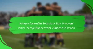 Poloprofesionální fotbalové ligy: Provozní výzvy, Zdroje financování, Zkušenosti hráčů