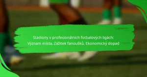 Stadiony v profesionálních fotbalových ligách: Význam místa, Zážitek fanoušků, Ekonomický dopad