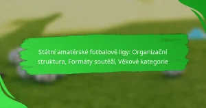 Státní amatérské fotbalové ligy: Organizační struktura, Formáty soutěží, Věkové kategorie
