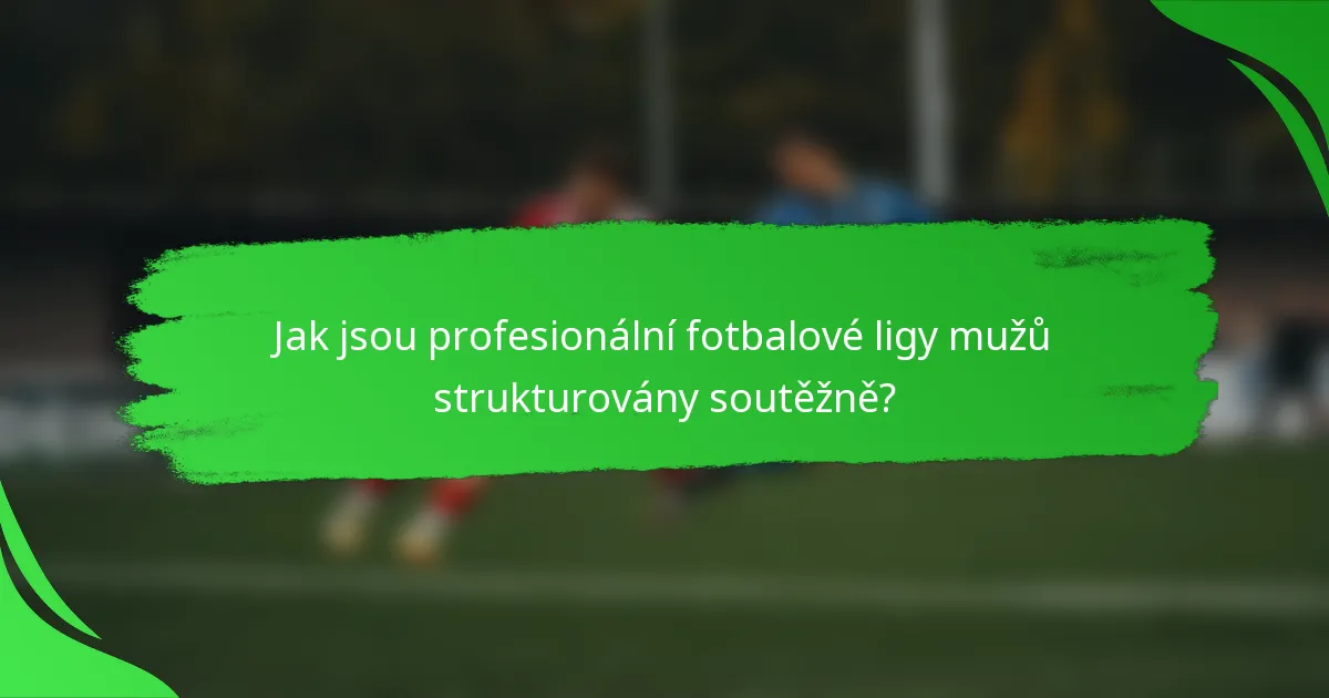 Jak jsou profesionální fotbalové ligy mužů strukturovány soutěžně?