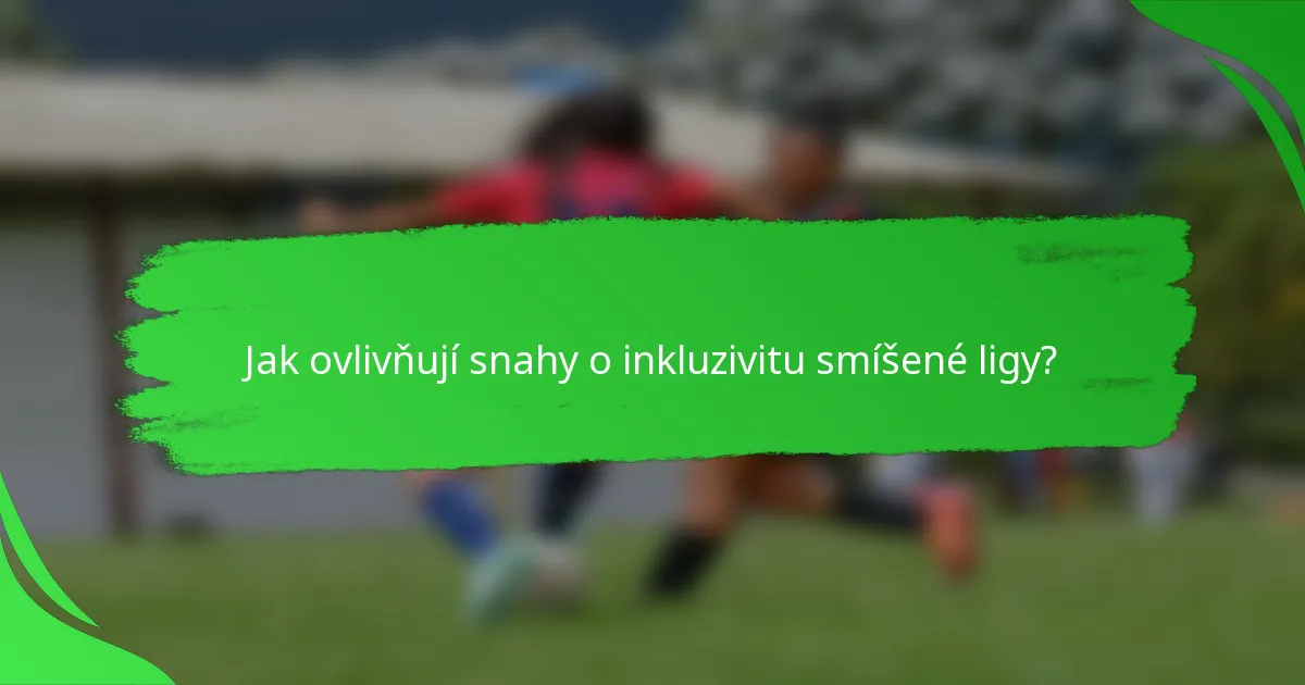 Jak ovlivňují snahy o inkluzivitu smíšené ligy?