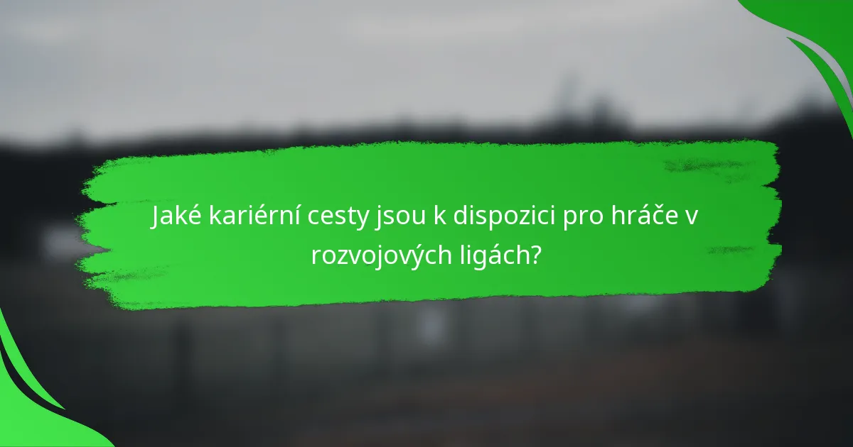 Jaké kariérní cesty jsou k dispozici pro hráče v rozvojových ligách?